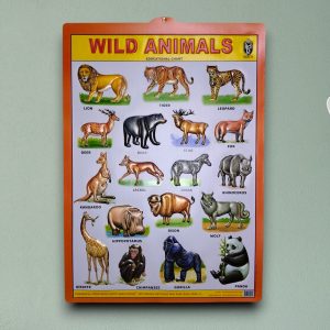 Wild Animals 3D Educational Chart
