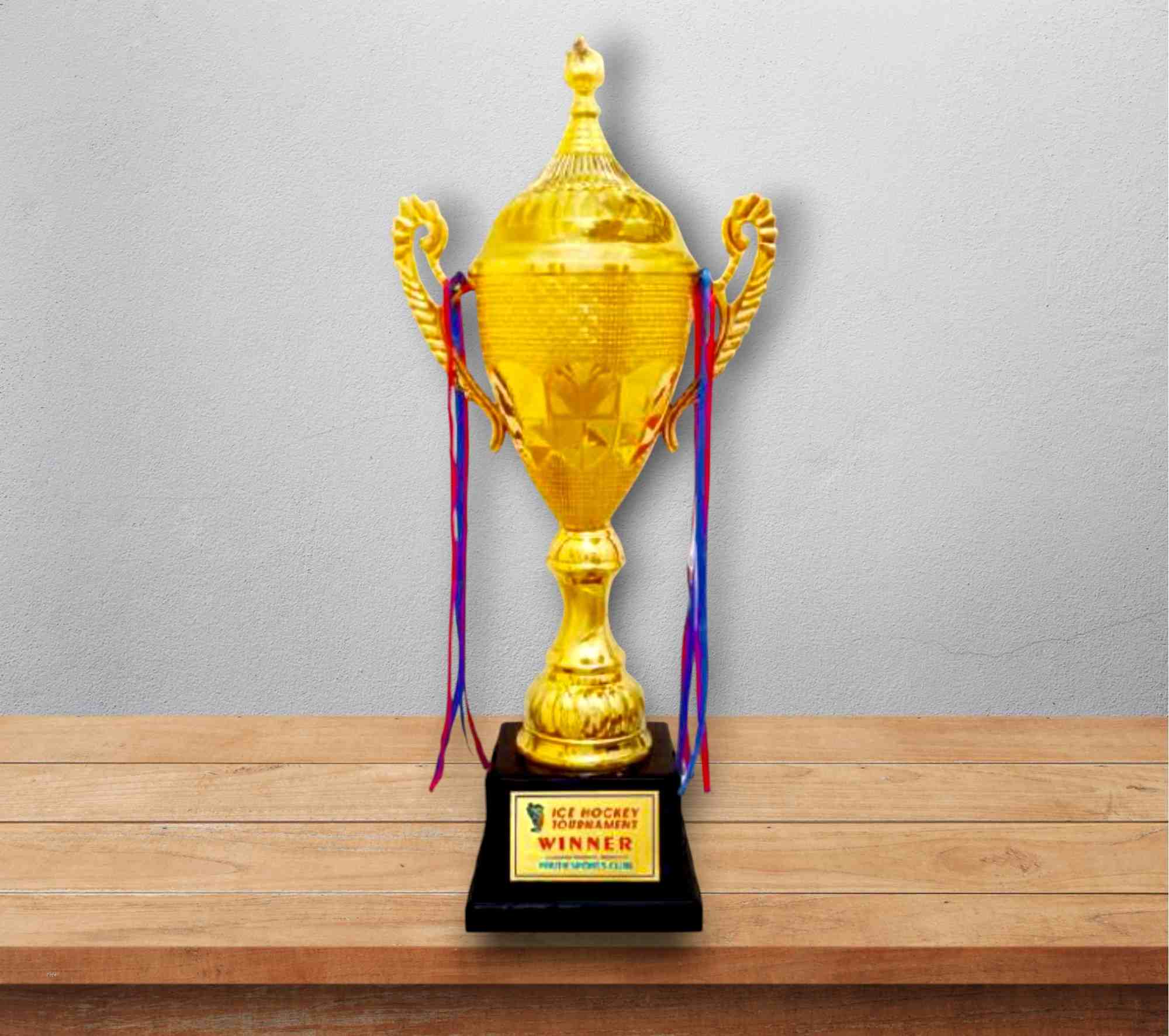 Fiber Trophy- PC223