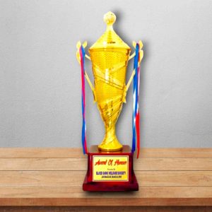 Fiber Trophy- PC 238